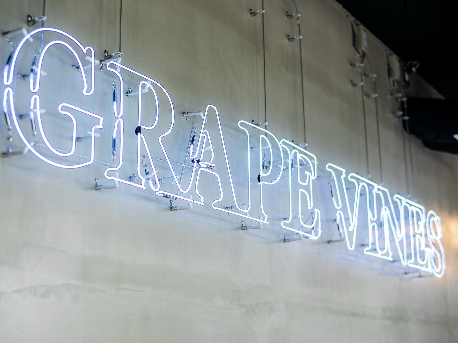 GRAPE VINES 大船店のネオンサイン